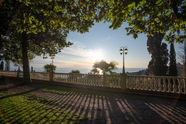 Gün batımı. Vecr. Ağaçlar. Klasik stil