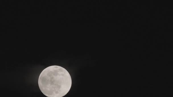 Acelera Luna Llena Subiendo Por Noche Cambiar Color Luna Debido — Vídeo de stock