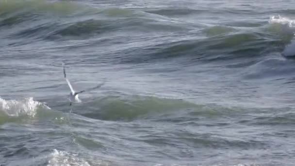 Langzame beweging close-up van verstoorde blauwe oceaan water oppervlak. Mooie looping achtergrond slow motion. Blauwe watergolven oppervlak, prachtige achtergrond met kopieerruimte. — Stockvideo