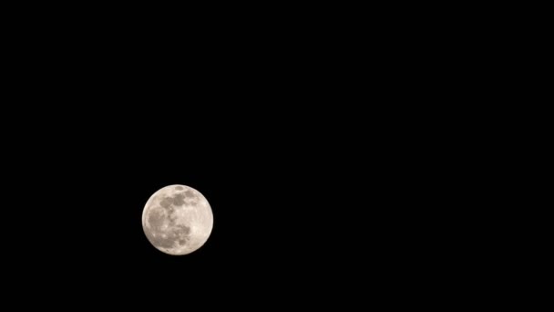 时间差视频 月亮在天空中的运动 晚安黑暗的时候行星 地球的卫星 — 图库视频影像
