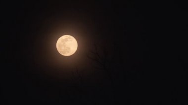Ay 'ın gökyüzündeki hareketi. İyi geceler. Karanlık zamanlar. Gezegen. Dünyanın uydusu. Gece lambası. Zaman aşımı videosu. 