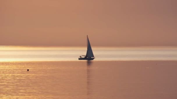 Jacht Żaglowy Zachodzie Słońca Morzu Horyzont Spokojnie — Wideo stockowe