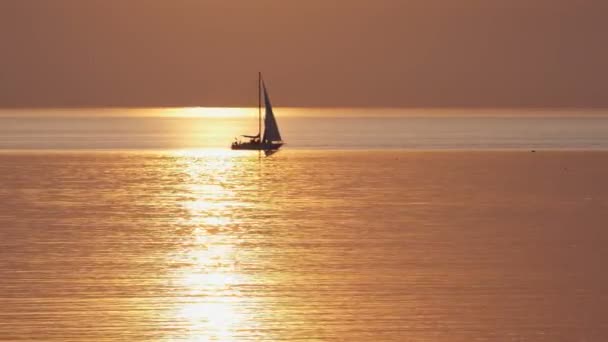 Bateau Voile Coucher Soleil Mer Horizon Calme — Video