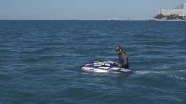 Sochi, Rusya - 15.06.2019 bir jet teknesinde atlet. Dalgaya devam. Dörtlü bisiklet. Sörf. Su sporları. 