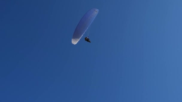 Parapente en el cielo azul — Vídeo de stock