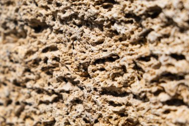 Sarı kabuk taşından tuğla duvar. Kabuk taşı dokusuna yakın çekim. Arkaplan. 