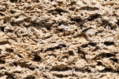 Sarı kabuk taşından tuğla duvar. Kabuk taşı dokusuna yakın çekim. Arkaplan. 