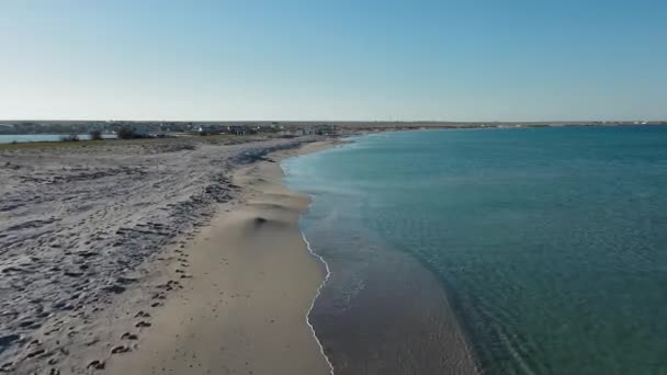 Flygfoto av en vild strand i gryningen — Stockvideo