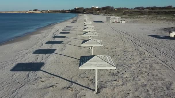 Beach umbrellas on a tropical sandy beach, aerial view. — Stock Video