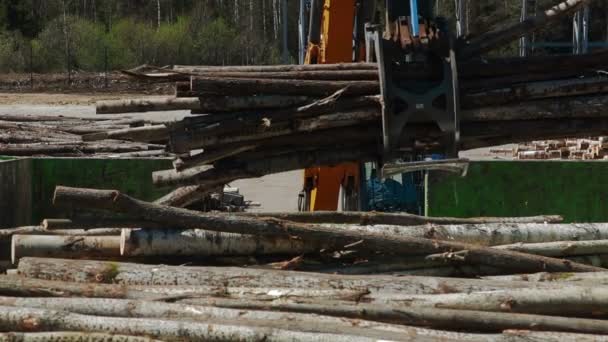 HEAVY EQUIPMENT TRUCK PICKER Lumber industry — Stock Video