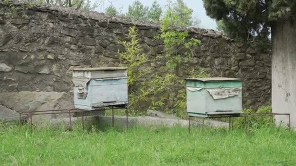 Bienenstöcke auf einer Wiese im Kloster — Stockvideo