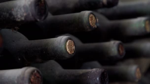 Staré lahve vína v tradiční vinný sklep — Stock video