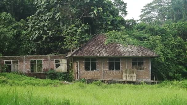 Σπίτι μέσα στη ζούγκλα, ρύζι πεδίο Μπαλί Ινδονησία — Αρχείο Βίντεο