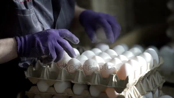 Kvinna händer sortering ägg i fabriken — Stockvideo