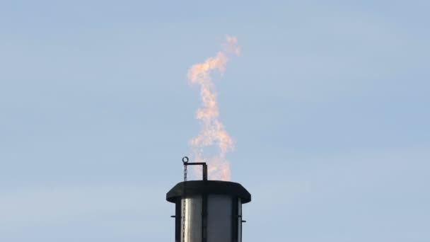 Fackling av farliga gaser i fältet olja — Stockvideo
