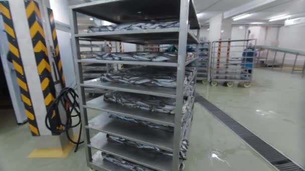 Factory worker pushes a trolley of frozen fish. Fish getting put onto the transporter at modern Fish factory. Fish Farm factory — Stock Video