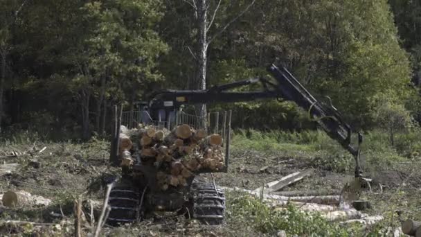 Log hydraulic crane machine forwarder loading logs to truck. Deforestation for Industrial production, mechanical gripper loading lumber on to truck for transportation. Forest cutting concept — Stock Video