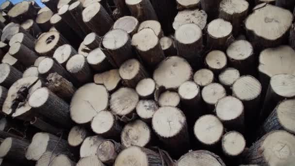 一堆堆木料。工业木材储存。被砍倒的树干全景木柴砍树树干木堆好.为工业生产砍伐森林. — 图库视频影像