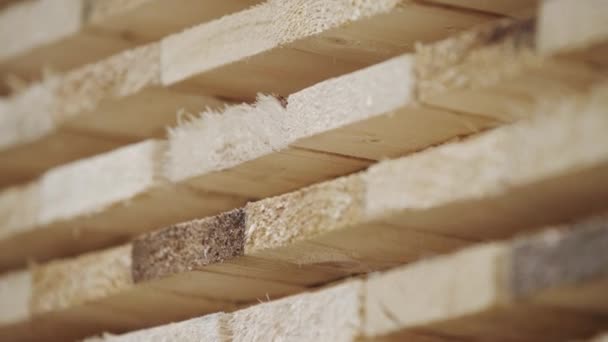 Деревянный завод и древесная доска с экспортом природного бизнеса. Куча древесины в хранилище бревен. Деревообрабатывающие столярные изделия работают деревянной мебелью. Деревянный строительный материал . — стоковое видео