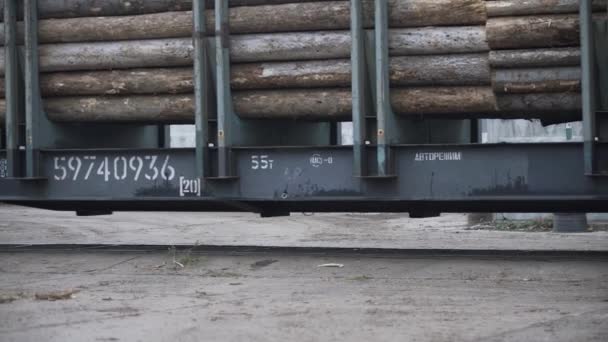 Ένα τρένο υλοτομίας στο πριονιστήριο μεταφέρει στοιβαγμένους ξύλινους κορμούς και κορμούς δέντρων. Ένα τρένο με κομμένα δέντρα. Το τρένο φεύγει από το έδαφος του ξυλουργικού εργοστασίου. — Αρχείο Βίντεο