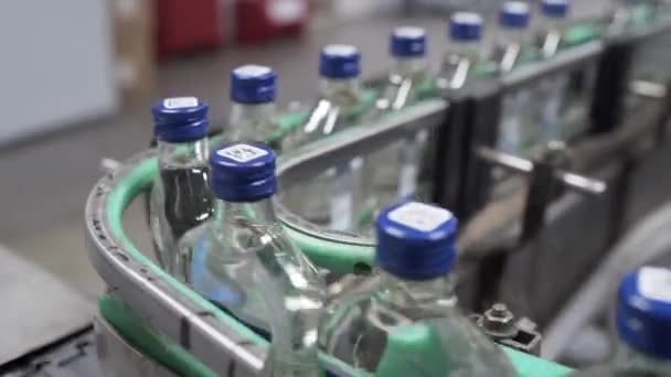 Fila de botellas con vodka en cinta transportadora en línea de producción de fábrica. Fábrica de embotellado de bebidas alcohólicas. Botellas de vidrio en cinta transportadora en línea de producción de destilería . — Vídeo de stock