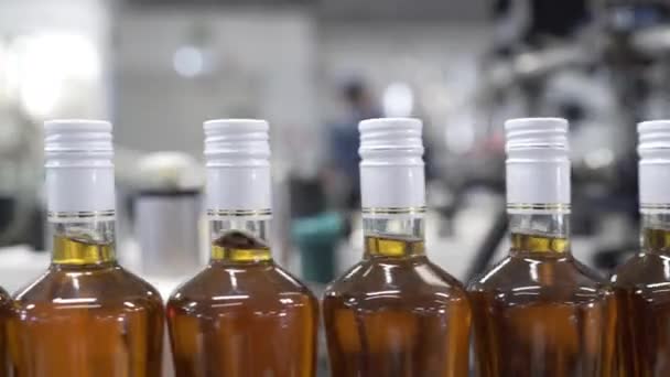 Butelki szklane zamknięte białą folią i wypełnione alkoholem przemieszczają się wzdłuż linii transportowej z centralą w Fabryce do butelkowania napojów alkoholowych. Proces produkcji nalewki śliwkowej. — Wideo stockowe