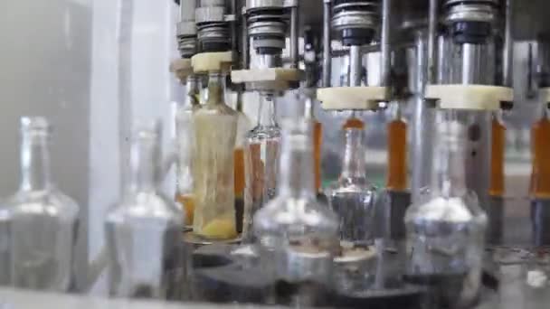 증류 공장에서 유리병에 담근다. 공장에서 유리 병을 채우는 기계. 알코올 음료를 붓는 일. 현대 공장에서 알코올음료 생산 과정. — 비디오