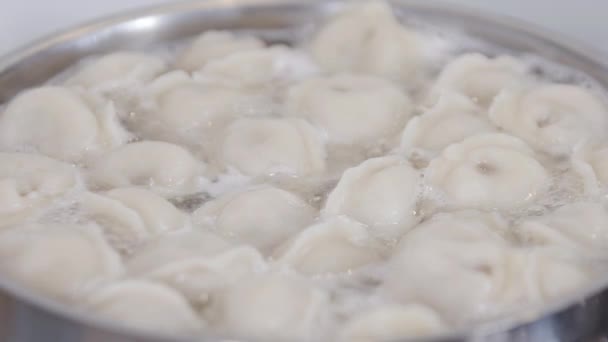 Ravioli boiling in water with spices in a pan. Dumplings is traditional russian food. Food background. — Stock Footage Ravioli boiling in water with spices in a pan. Dumplings is traditional russian food. Food background. Royalty Free Stock Footage
