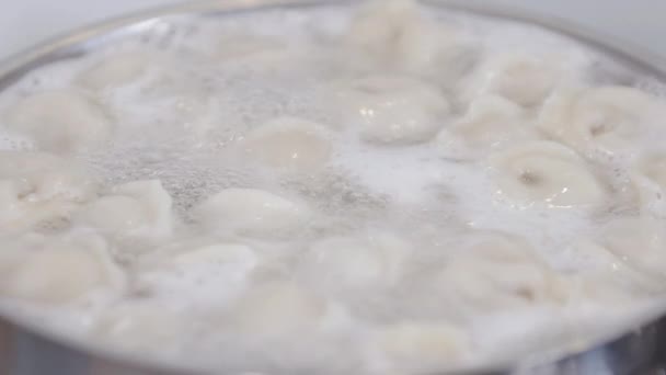Process of cooking homemade dumplings. Meat dumplings in boiling water in a pan. Dumplings is traditional russian food. — Stock Footage Process of cooking homemade dumplings. Meat dumplings in boiling water in a pan. Dumplings is traditional russian food. Stock Footage
