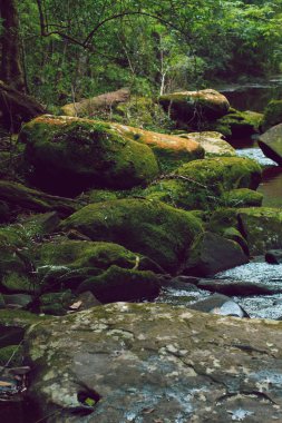 Şelale doğası ile orman arka planında nehir taşı, tatil tatili ve doğal çevreye seyahat
