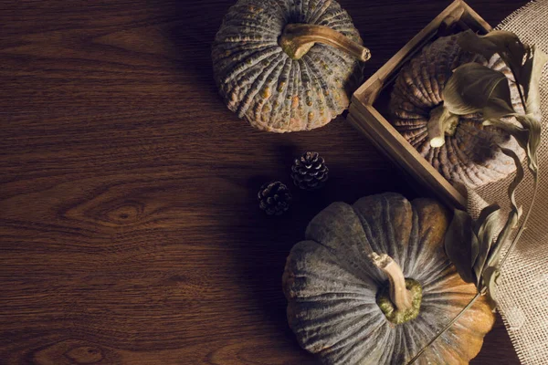 happy holiday of thanksgiving festive celebration with pumpkin dinner food decoration on vintage wood table background