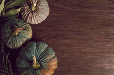 Mutlu Şükran Günü kutlaması. Balkabağı yemek süslemesi. Eski ahşap masa arka planında.