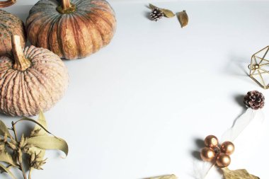 Mutlu Şükran Günü kutlaması. Balkabağı yemek süslemesi. Eski ahşap masa arka planında.