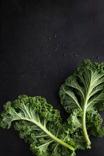 Fresh green organic kale leaves — Stock Photo, Image