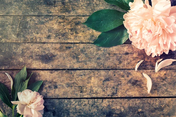 Old wooden table with peony flowers — Stock Photo, Image