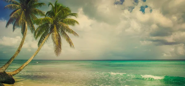 Strand mit Kokospalmen — Stockfoto