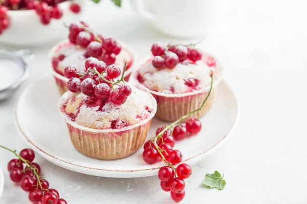 Červený rybíz muffiny s čerstvým ovocem a moučkového cukru — Stock fotografie