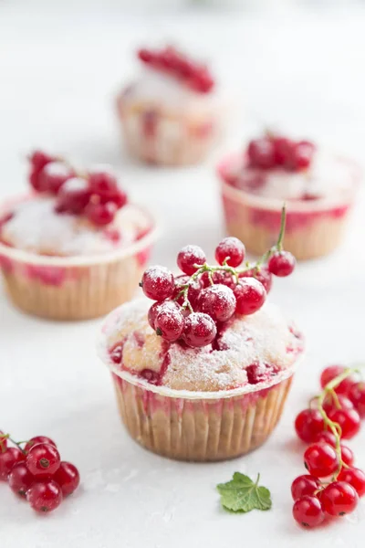 Červený rybíz muffiny s čerstvým ovocem a moučkového cukru — Stock fotografie