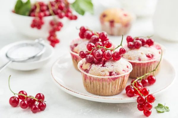 Muffins de groselha vermelha com bagas frescas e açúcar em pó — Fotografia de Stock