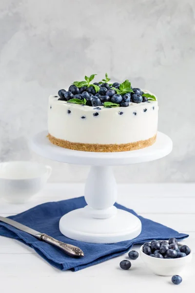 흰색 바탕에 신선한 블루베리와 아니 구운된 치즈 케이크 — 스톡 사진