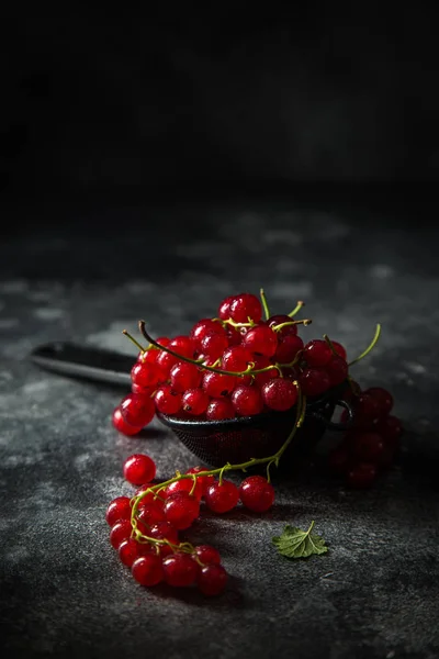 Grosella roja fresca sobre fondo negro —  Fotos de Stock