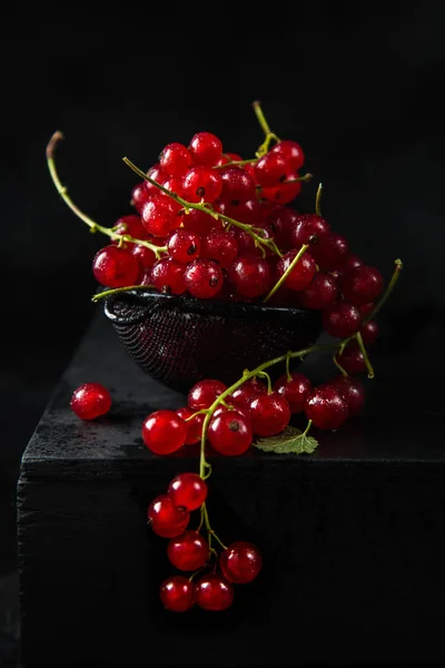 Fresh red currant on black background — Stock Photo, Image