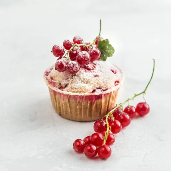 Deliciosos muffins de groselha vermelha com bagas frescas e su em pó — Fotografia de Stock