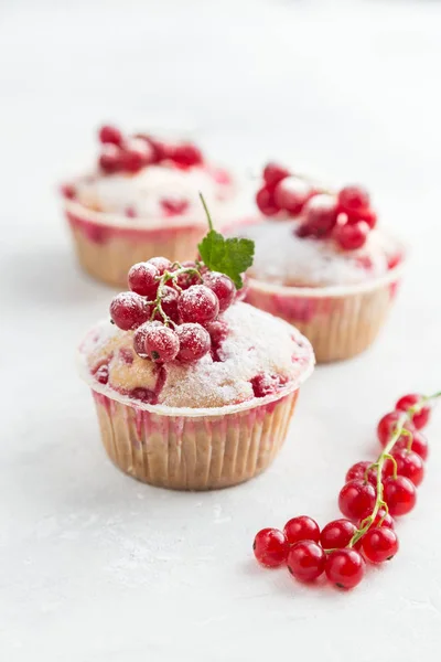 Läckra röda vinbär muffins med färska bär och pulveriserad su — Stockfoto