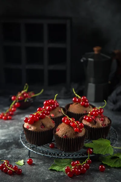 Pyszne czerwone porzeczki i czekoladowe babeczki — Zdjęcie stockowe