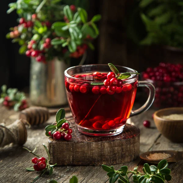 Xícara de chá quente de lingonberry (ou cranberry) — Fotografia de Stock
