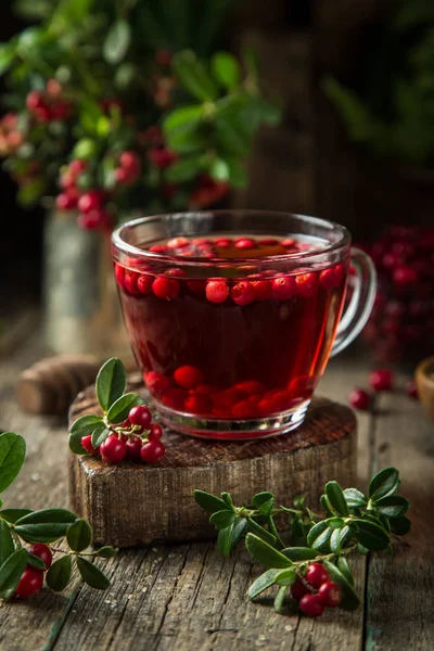 Secangkir teh lingonberry panas (atau cranberry) — Stok Foto