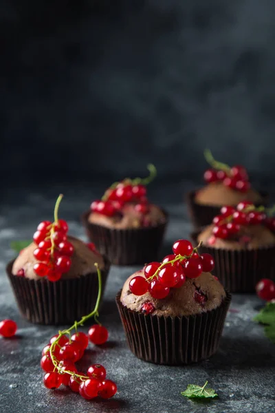 Çikolata ve kırmızı Frenk üzümü muffins — Stok fotoğraf
