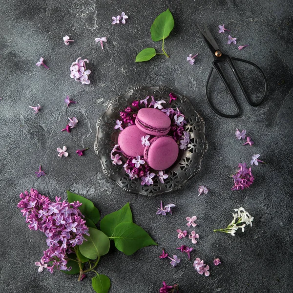 Flatlay of blackberry macarons on vintage plate and lilac flower — Stock Photo, Image