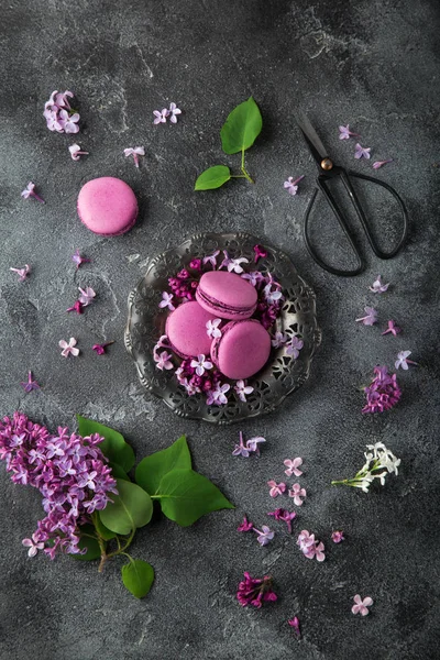 Flatlay of blackberry macarons on vintage plate and lilac flower — Stock Photo, Image